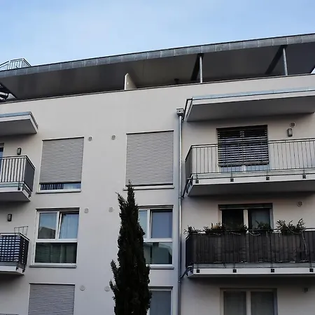 Bodensee Penthouse شقة